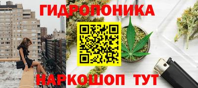 ПСИЛОЦИБИНОВЫЕ ГРИБЫ Будённовск