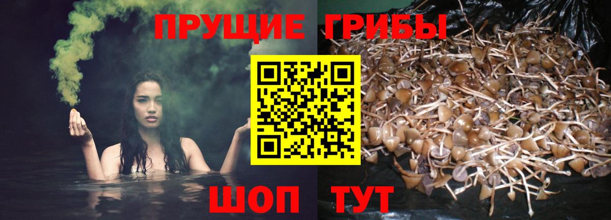 Галлюциногенные грибы мухоморы Скопин
